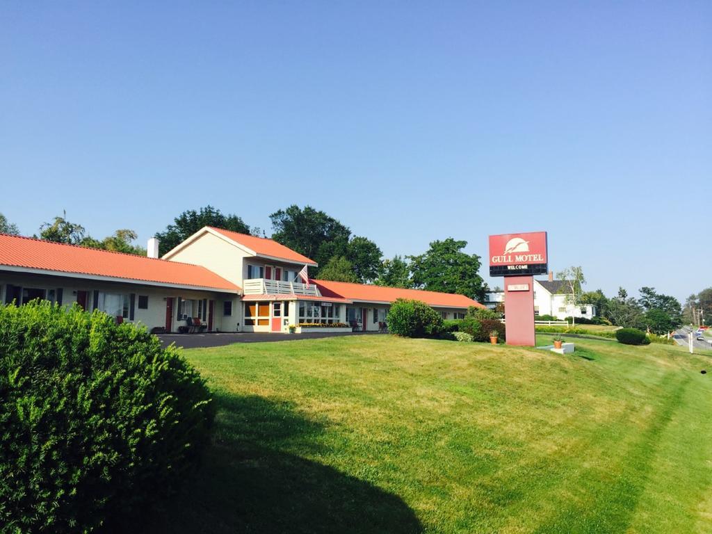 The Gull Motel, Belfast Dış mekan fotoğraf