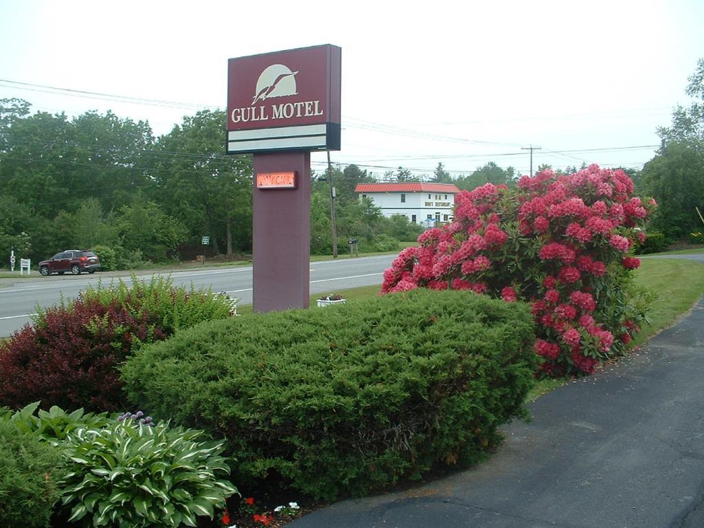 The Gull Motel, Belfast Dış mekan fotoğraf